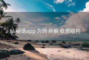 以 秘语app 为例 拆解 收费结构