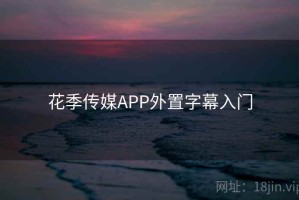 花季传媒APP外置字幕入门