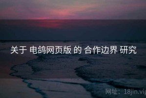 关于 电鸽网页版 的 合作边界 研究