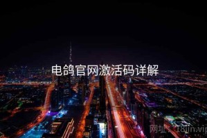 电鸽官网激活码详解