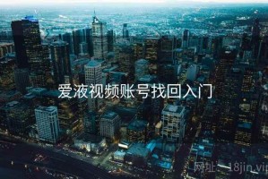 爱液视频账号找回入门