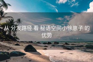 从 分发路径 看 秘语空间小徐崽子 的优势