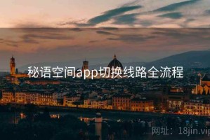 秘语空间app切换线路全流程