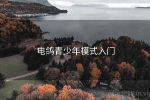 电鸽青少年模式入门