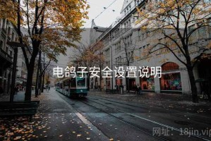 电鸽子安全设置说明