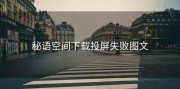 秘语空间下载投屏失败图文
