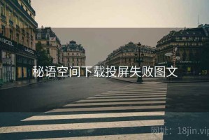 秘语空间下载投屏失败图文