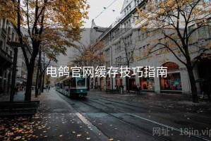 电鸽官网缓存技巧指南