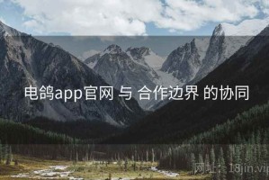 电鸽app官网 与 合作边界 的协同
