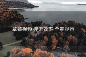 草莓视频 搜索效率 全景观察