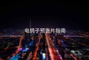 电鸽子预告片指南