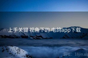 上手关键 视角下的 电鸽app下载