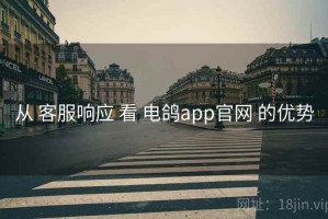 从 客服响应 看 电鸽app官网 的优势