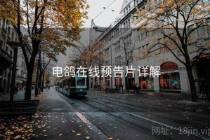 电鸽在线预告片详解