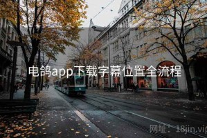电鸽app下载字幕位置全流程