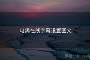 电鸽在线字幕设置图文