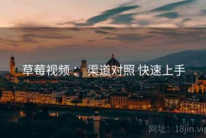 草莓视频 ： 渠道对照 快速上手