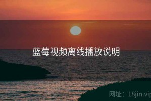 蓝莓视频离线播放说明