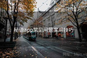 秘语app常见问题实用技巧