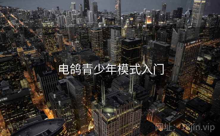 电鸽青少年模式入门 电鸽青少年模式入门
