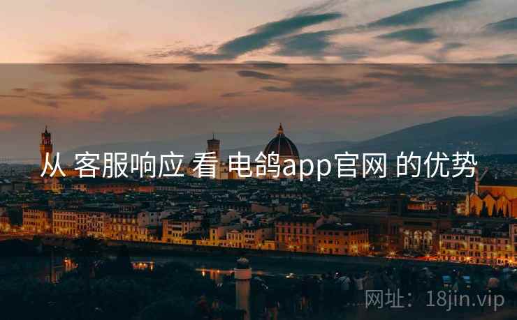 从 客服响应 看 电鸽app官网 的优势 从 客服响应 看 电鸽app官网 的优势