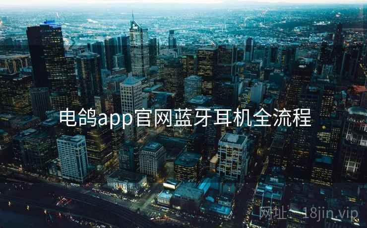 电鸽app官网蓝牙耳机全流程 电鸽app官网蓝牙耳机全流程