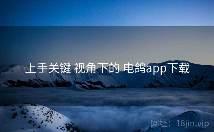 上手关键 视角下的 电鸽app下载 上手关键 视角下的 电鸽app下载