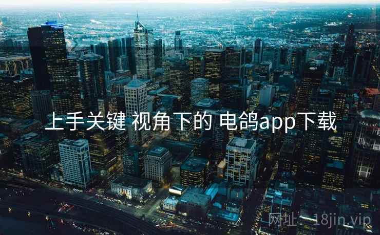 上手关键 视角下的 电鸽app下载 上手关键 视角下的 电鸽app下载