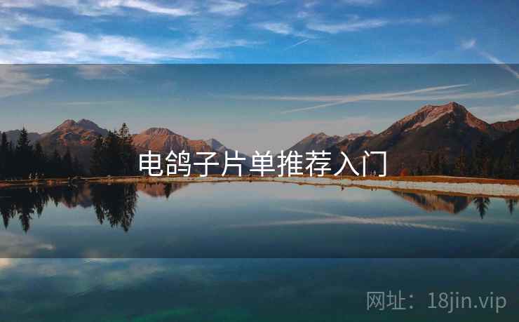 电鸽子片单推荐入门 电鸽子片单推荐入门