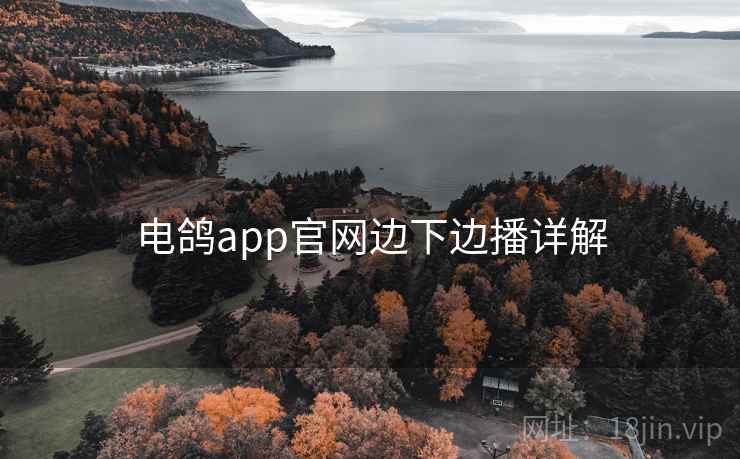 电鸽app官网边下边播详解 电鸽app官网边下边播详解