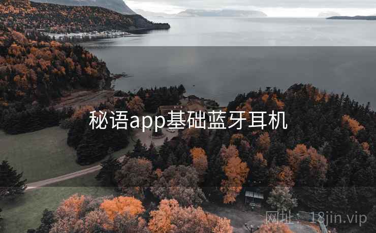 秘语app基础蓝牙耳机